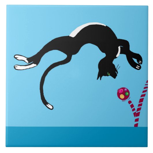 Carreau chat et balle (Devant)