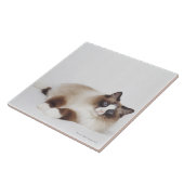 Carreau Chat étendu (Côté)