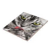 Carreau Chat gris (Côté)