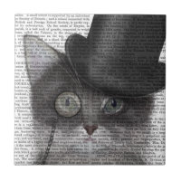 Chat gris avec chapeau supérieur