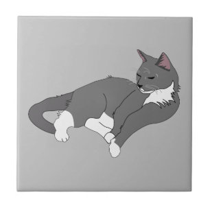 Carreau Chat gris et blanc Tuxedo
