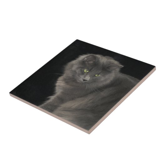 Carreau Chat gris Long Cheveux Russe Bleu Kitty Kitten Mig (Côté)