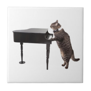 Carreau Chat Jouer Piano