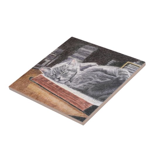 Carreau Chat Librairie (Côté)