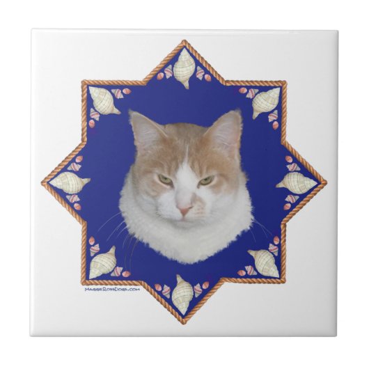 Carreau Chat nautique Alfie (Devant)