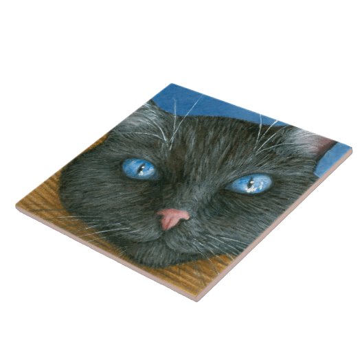 Carreau Chat noir 414 (Côté)