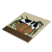 Carreau Chat noir blanc Plante drôle (Côté)