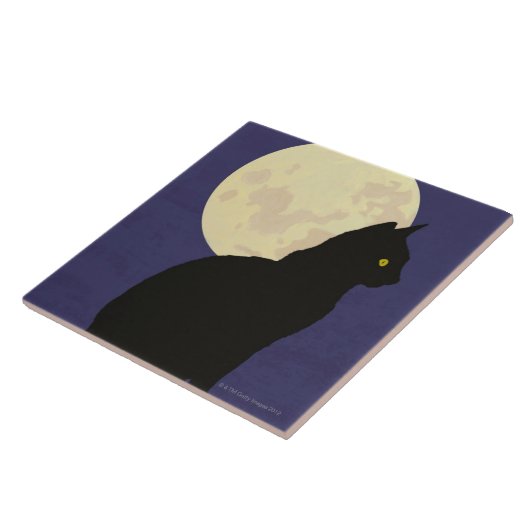Carreau Chat noir et la lune (Côté)