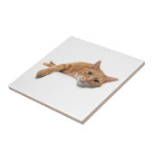 Carreau Chat Orange Posé En Bas (Côté)