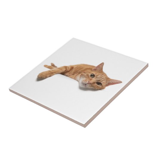 Carreau Chat Orange Posé En Bas (Côté)