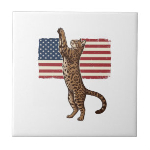 Carreau Chat patriotique Drapeau américain Design vectorie