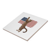 Carreau Chat patriotique Drapeau américain Design vectorie (Côté)