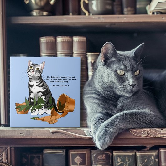 Carreau Chat plante