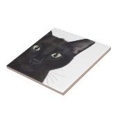 Carreau Chat, Portrait de Gus (Côté)