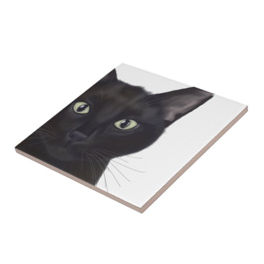 Carreau Chat, Portrait de Gus (Côté)