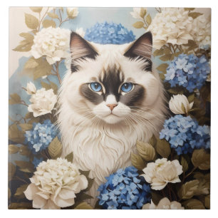 Carreau Chat Ragdoll Avec Fleurs Bleues D'Hydrangée
