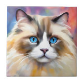 Carreau Chat Ragdoll élégant et paisible (Devant)