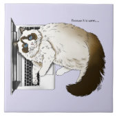 Carreau Chat Ragdoll Fluffy Ordinateur Portable Lavande Dr (Devant)