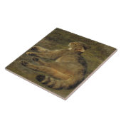 Carreau Chat sauvage (par Rosa Bonheur) (Côté)