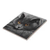 Carreau Chat Shorthair (Côté)