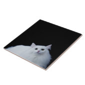 Carreau Chat sibérien (Côté)