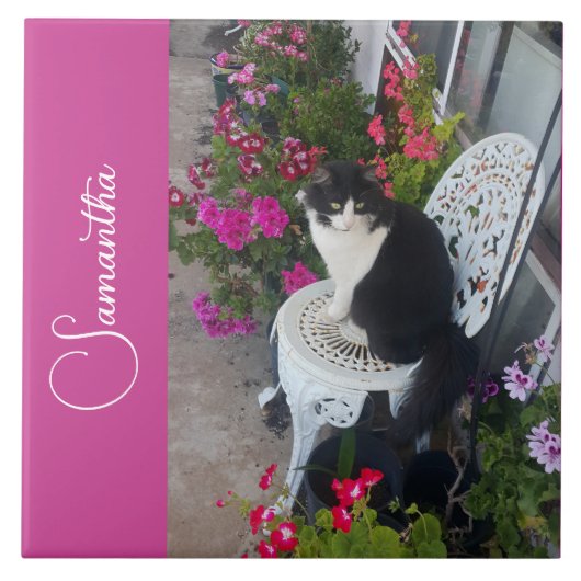 Carreau Chat smoking Cats et Fleurs Filles Nom Rose foncé (Devant)