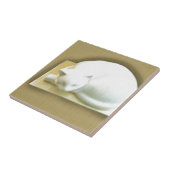 Carreau Chat sur Gold Box II (Côté)