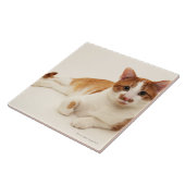 Carreau Chat sur l'arrière - plan blanc (Côté)