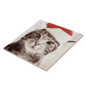 Carreau Chat tigré domestique utilisant le casquette rouge (Côté)