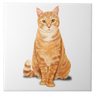 Carreau Chat Tigre Tabby Orange Gingembre Personnalisé