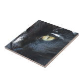 Carreau Chat vous observant (Côté)