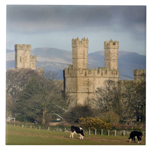 Carreau Château de Caernarfon au Pays de Galles. (Devant)