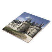 Carreau Château de Chaumont-Sur-Loire. (Côté)