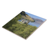 Carreau Château Eilean Donan, Écosse. La célèbre Eilée (Côté)