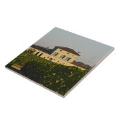 Carreau Château Lafleur Petrus et vignoble, dans Pomerol, (Côté)