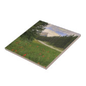 Carreau Château Mountain Banff (Côté)