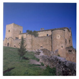 Carreau Château Pedraza, Castille-et-León, Espagne