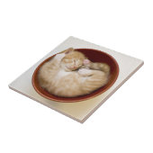 Carreau Chaton couchant (Côté)