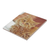 Carreau Chaton dans la neige (Côté)