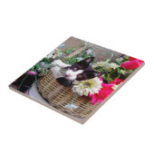 Carreau Chaton dans un panier (Côté)