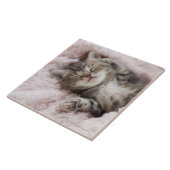 Carreau Chaton dormant sur la serviette (Côté)