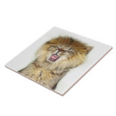 Carreau Chaton lion torse (Côté)