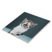 Carreau Chaton meowing (Côté)