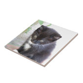 Carreau Chaton noir et blanc (Côté)