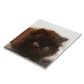 Carreau Chaton persan noir (Côté)