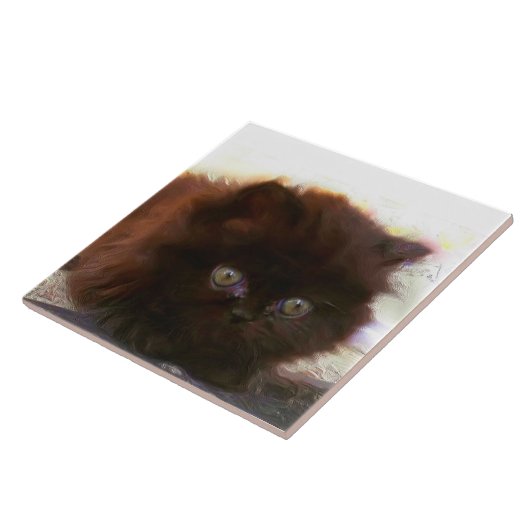 Carreau Chaton persan noir (Côté)