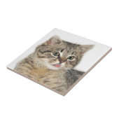 Carreau Chaton razzberry (Côté)