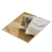 Carreau Chaton se cachant dans le sac de papier (Côté)