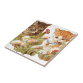Carreau Chatons (Côté)