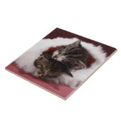 Carreau Chatons endormis ensemble dans le casquette de (Côté)